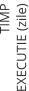 TIMP  EXECUTIE (zile)